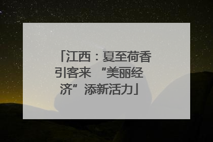 江西：夏至荷香引客来 “美丽经济”添新活力